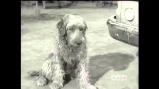 Lassie - Episode #327 - "Jeepers" - Season 10, Ep. 4 - 10/20/1963