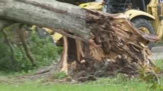 Tropical Storm Cindy spurs tornado along Miss. Gulf Coast