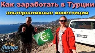 💲Как заработать в Турции ?!  Недвижимость и не только ! Инвестиции #Аланья