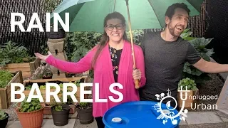 Water for nothing and your Rain Barrels for cheap! Collecting rainwater for your Garden