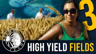 ➤ Time Team's Top 3 YIELD FIELDS