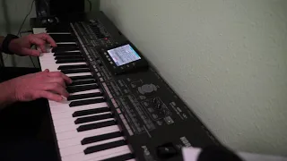 "Малиновый звон" Korg Pa3X