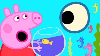 Peppa Pig Official Channel | Peppa Pig's Aquarium Surprise