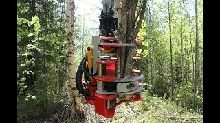 Nisula 285E+ accumulating energy wood head working in Latvia