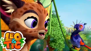 Leo and Tig - Taonga of the Bush Babies (Episode 42) 🦁 Cartoon for kids Kedoo Toons TV