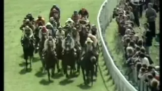 1977 Epsom Derby The Minstrel