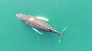 морская рыбалка Баренцево море КИТЫ