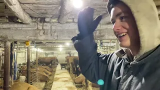 A Snowy Afternoon Milking on the Farm | January 9th, 2024