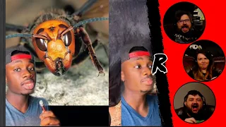 What Happened to the Murder Hornets and Why Cows Eat Snakes - @mndiaye_97 | RENEGADES REACT