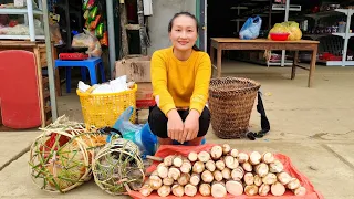 Harvesting bamboo shoots & Buy chicken from people and bring it to the market to sell | Ly Thi Tam