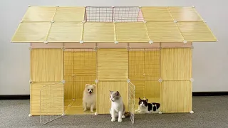 Install Prefab House for Pomeranian Poodle puppies & New kitten - DIY House Dog Video