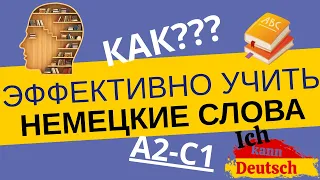 Как эффективно учить ТЫСЯЧИ немецких слов?