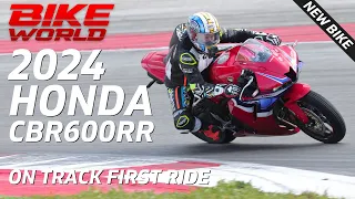 The Honda CBR600RR Is back! | On Track First Ride