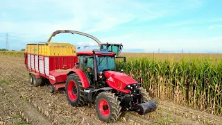 Akcja Kukurydza🔥🌽6x Zetor🔥GR Kryś & Kam-Rol