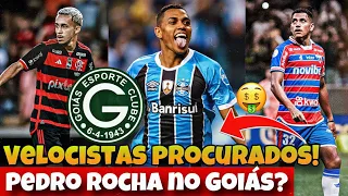 💚😱 ATACANTES PARA JULHO! GOIÁS DEVERÁ CONTRATAR! PEDRO ROCHA E MATHEUS GONÇALVES NA MIRA?