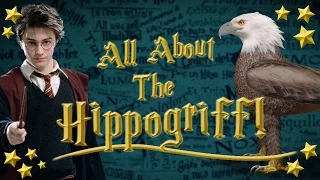 All you need to know about the Hippogriff!  Fantastic Beasts and Where to Find Them!