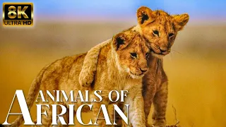 4K African Wildlife: Kruger National Park In South Africa, Scenic Wildlife Film With Real Sounds