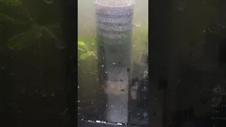 Aquarium Electric Power Sponge Filter