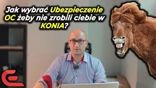 PORADNIK Jakie wybrać ubezpieczenie OC żeby nie zrobić się w konia