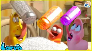 Larva Eat Less Salt |( Season 2)🍨 Best Cartoon Movie🥟New Cartoon Comedy 2021►Larva Official| Cartoon