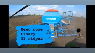 Посівна 2022. Розпочинаємо посів ріпаку з Демо-поля.