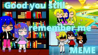 Good to know you still remember me | Not original | inspired by • Miraculous shadow • | original au|