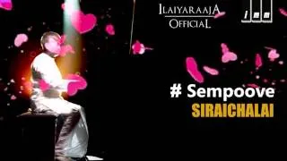 Siraichalai | Sempoove | Ilaiyaraaja | Prabhu, Tabu | SPB, K.S Chithra