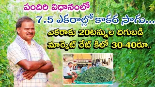 Bitter Gourd Cultivation | Kakarakaya Sagu | 7 ఎకరాల్లో కాకర సాగు | Shiva Agri Clinic