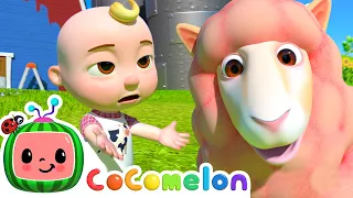 Baa Baa Black Sheep is Pink?! | Learning Colors with Animals | Cocomelon Nursery Rhymes & Kids Songs