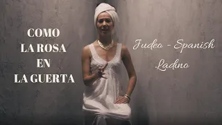 Como La Rosa - A Mystery of Ancient Sephardic Jewish Music (Carina La Dulce & Grigory Baranov)