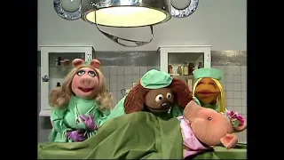 The Muppet Show - 320: Sylvester Stallone - Veterinarian’s Hospital: Hawaiian Pig (1979)