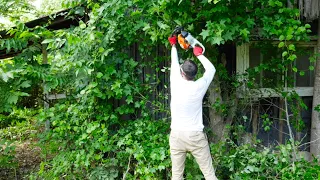 It LOOKED like a JUNGLE. We MOWED it for FREE! SATISFYING yard TRANSFORMATION