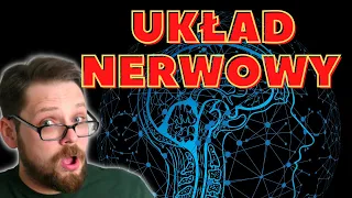 Budowa i rola układu nerwowego cz.1 Podział układu (ośrodkowy, obwodowy, autonomiczny i somatyczny)