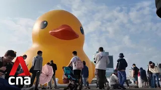 Giant rubber ducks return to Taiwan after a decade