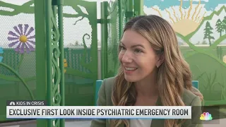 Kids in Crisis: Mental Health & Youth | NBC 7 San Diego