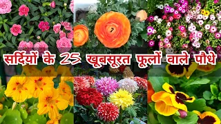 सर्दियों में लगाऐ ये 25 फूलों वाले पौधे | winter flowering plants | winter flowering plants in india