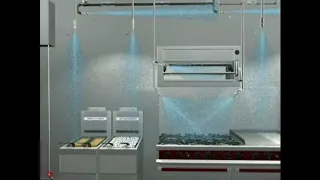 PIRANHA Hybrid Restaurant System