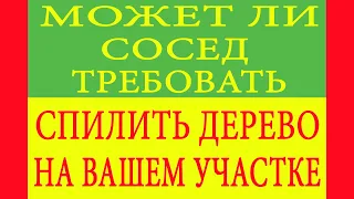 Может ли сосед требовать спилить дерево на вашем участке