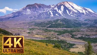 4K Nature Scene | Mt. St. Helens - View from Hummocks Trail - Trailer