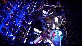 Frogs - Todd Rundgren & Metropole Orkest, Paradiso november 11, 2012