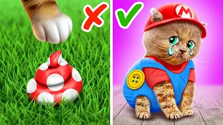 Watch Your Step Mario Kitten 🙀 *Free Gadgets and Crafts for your Pets with Mario*