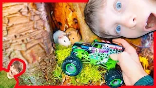 Monster Trucks Guinea Pig Rescue Mission