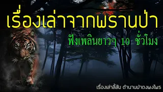 รวมเรื่องเล่าจากพรานป่า ฉบับฟังเพลินยาวๆ 10 ชั่วโมง