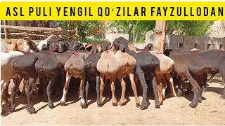 FAYZULLODAN QAYTARILMAS NARXLAR TUSHTI SHOSHILAMIZ