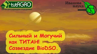 СОЗВЕЗДИЕ BioDSO. Оранжевая звезда Титаниум! Защита вашего сада и огорода даже от трудных болезней!