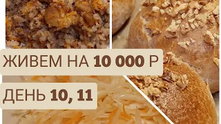 Экономное питание семьи из 3 человек на 10000 в месяц/День 10,11/Выживание или удачный эксперимент?