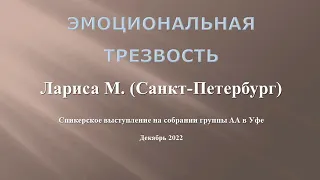 Эмоциональная трезвость. Трезвая алкоголичка Лариса М. Санкт-Петербург. Спикерское выступление в Уфе