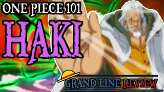 Haki Explained | One Piece 101
