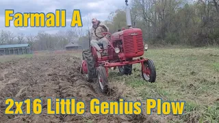 Farmall A Plowing with a Little Genius 2x16 Plow
