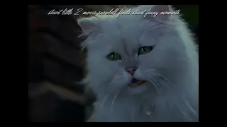 stuart little 2 movie snowbell finds stuart funny moments